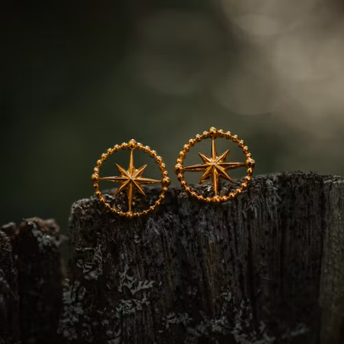 Kompass örhängen guld