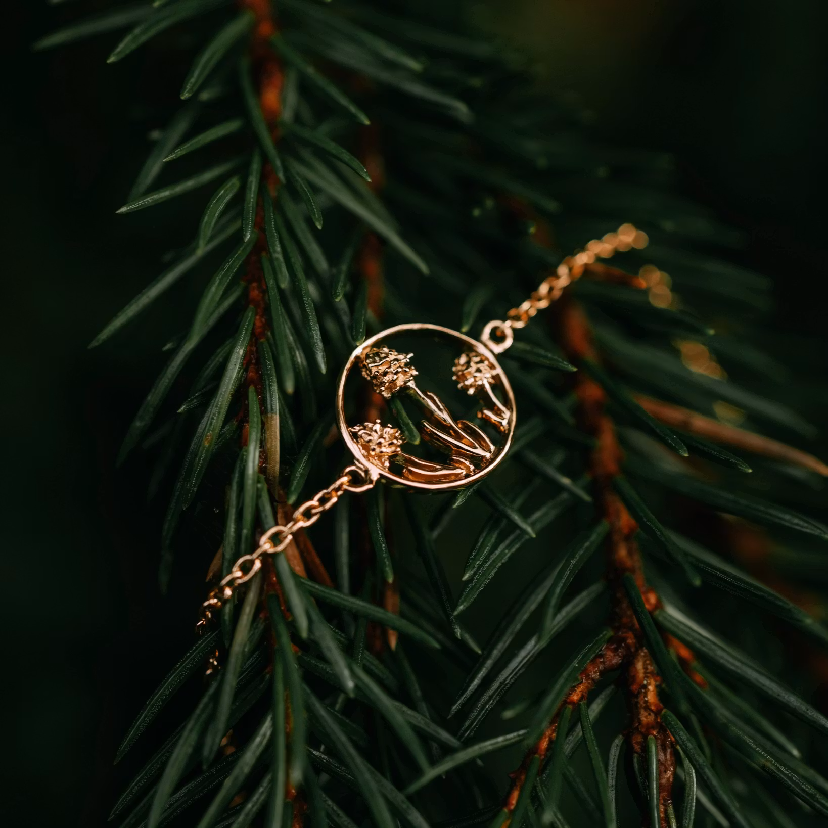 Brunkulla armband guld