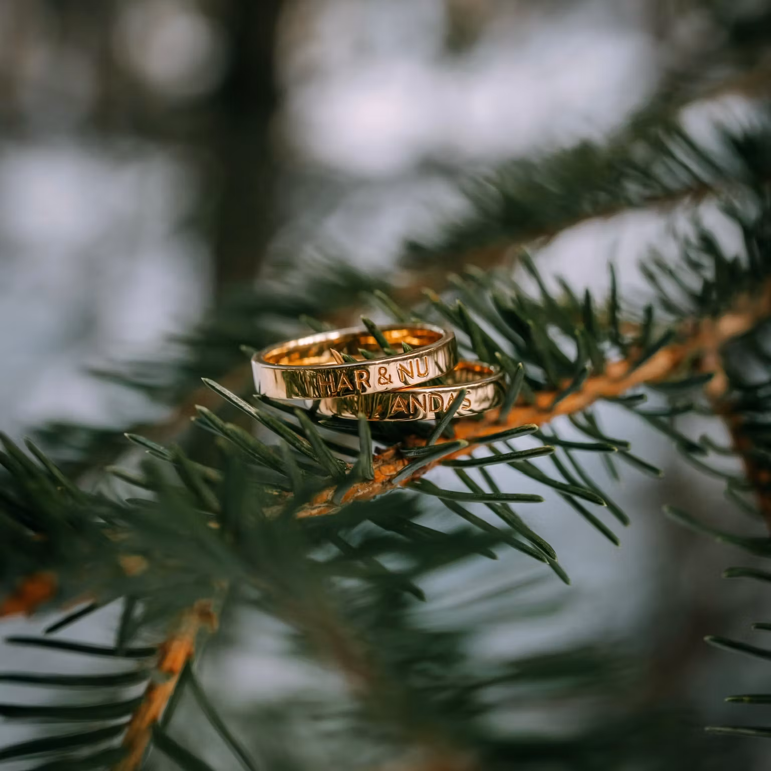 Här & Nu ring guld