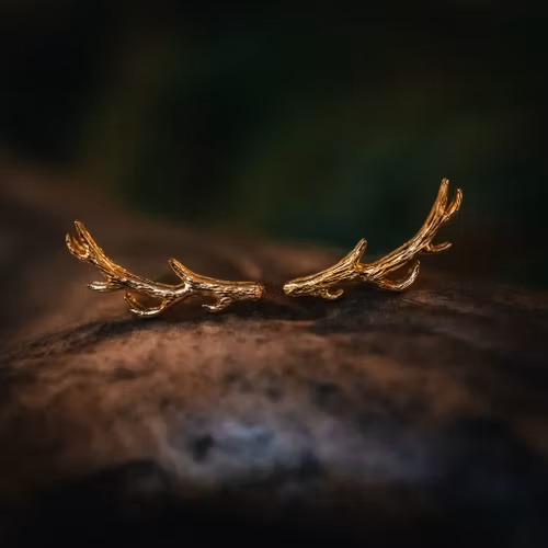 Vilda örhängen guld