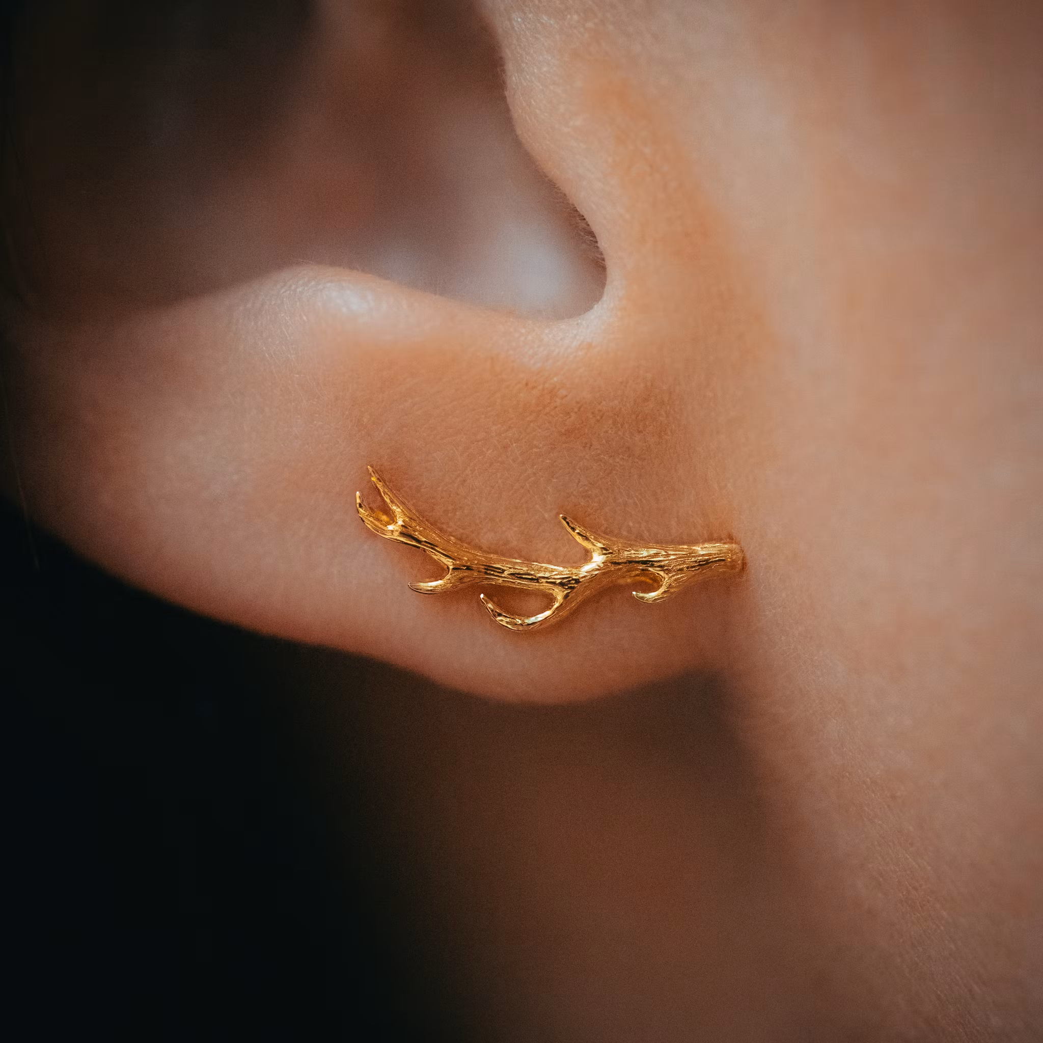 Vilda örhängen guld
