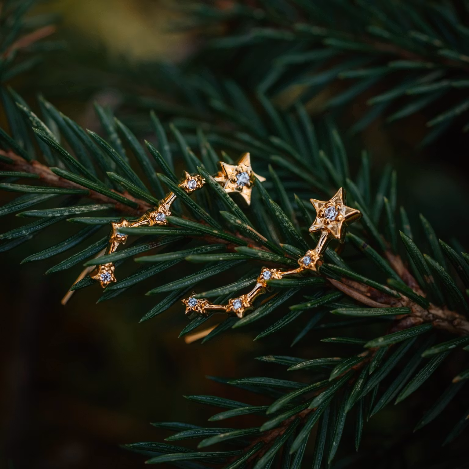 Vintergatan öronklättrare guld
