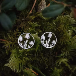 Brunkulla örhängen