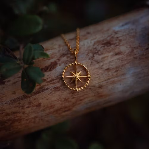 Kompass halsband guld