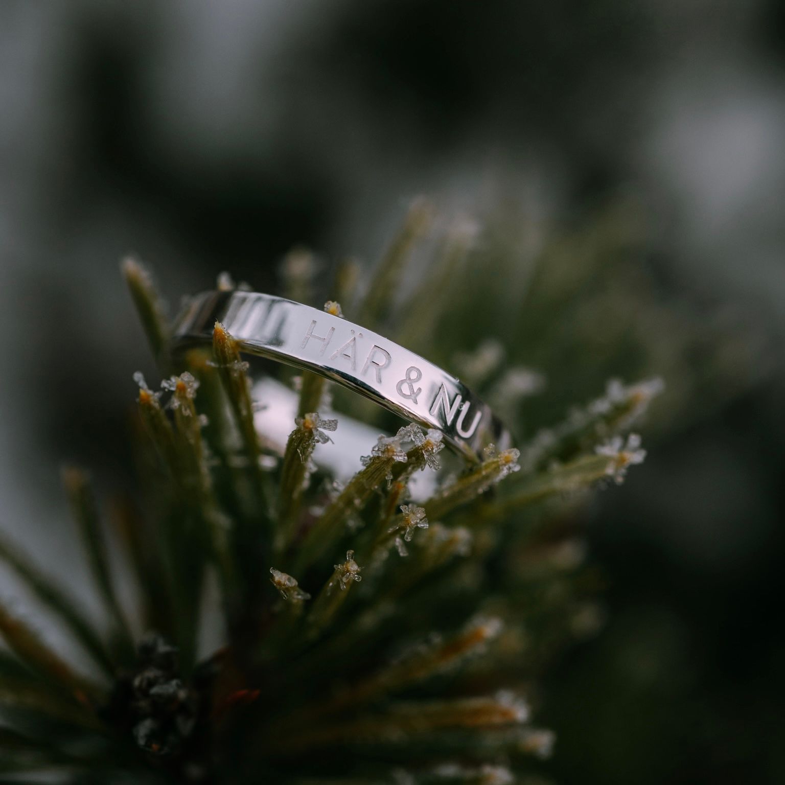 Här & Nu ring