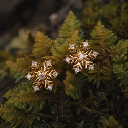 Snöflinga örhängen guld