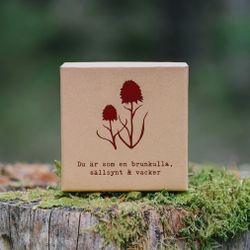 Smyckesask Brunkulla