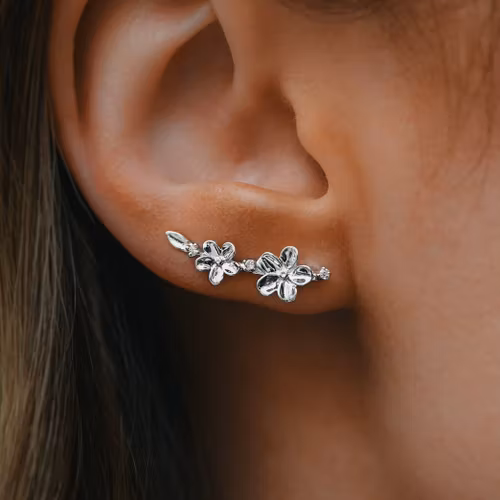 Förgätmigej öronklättrare