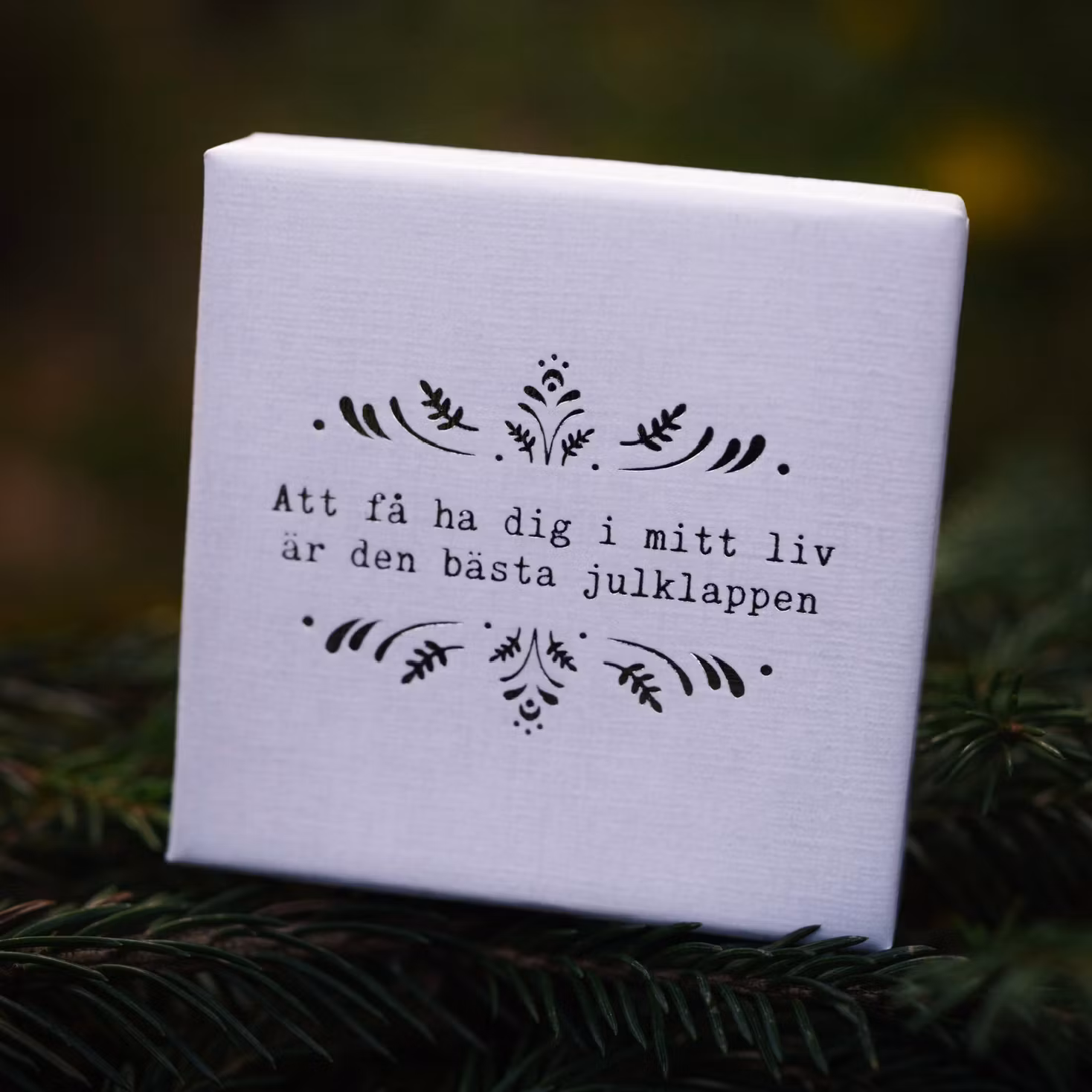 Smyckesask Bästa Julklappen