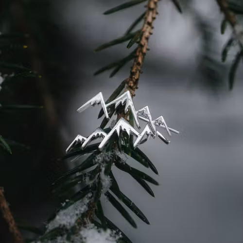 Fjäll öronklättrare