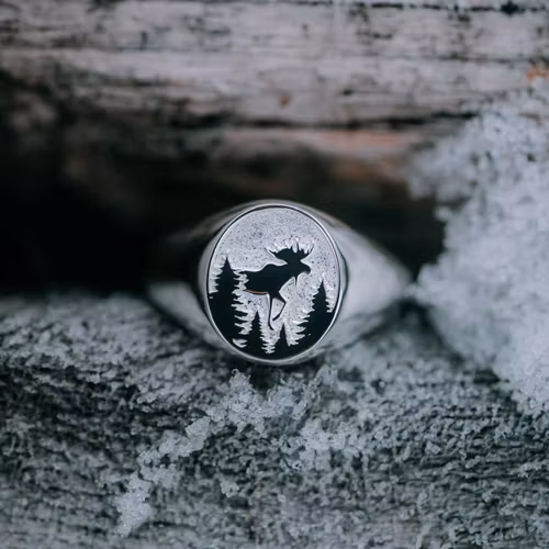 Ståtlig ring herr