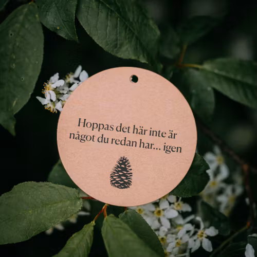 Hälsningskort Hoppsan