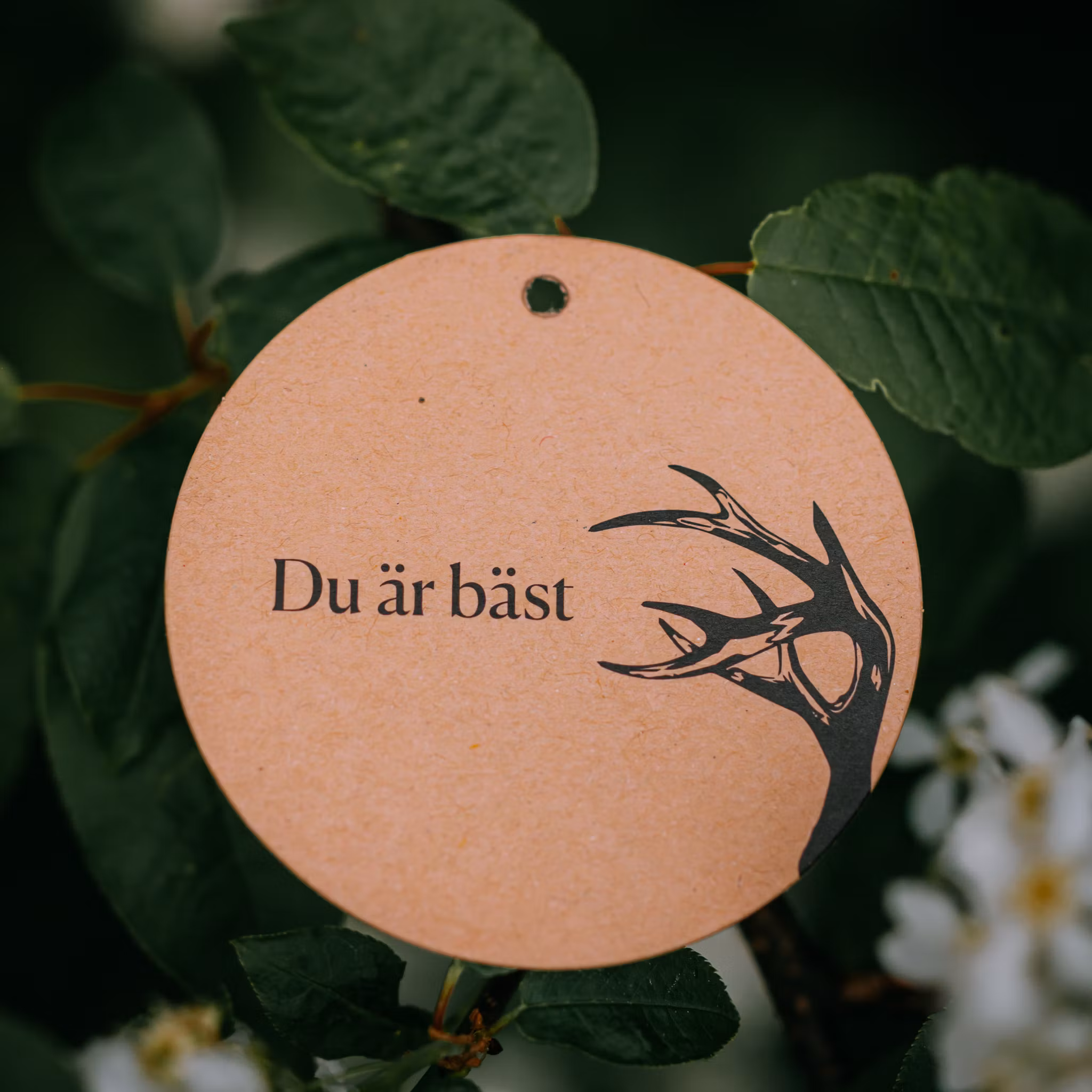 Hälsningskort Bäst