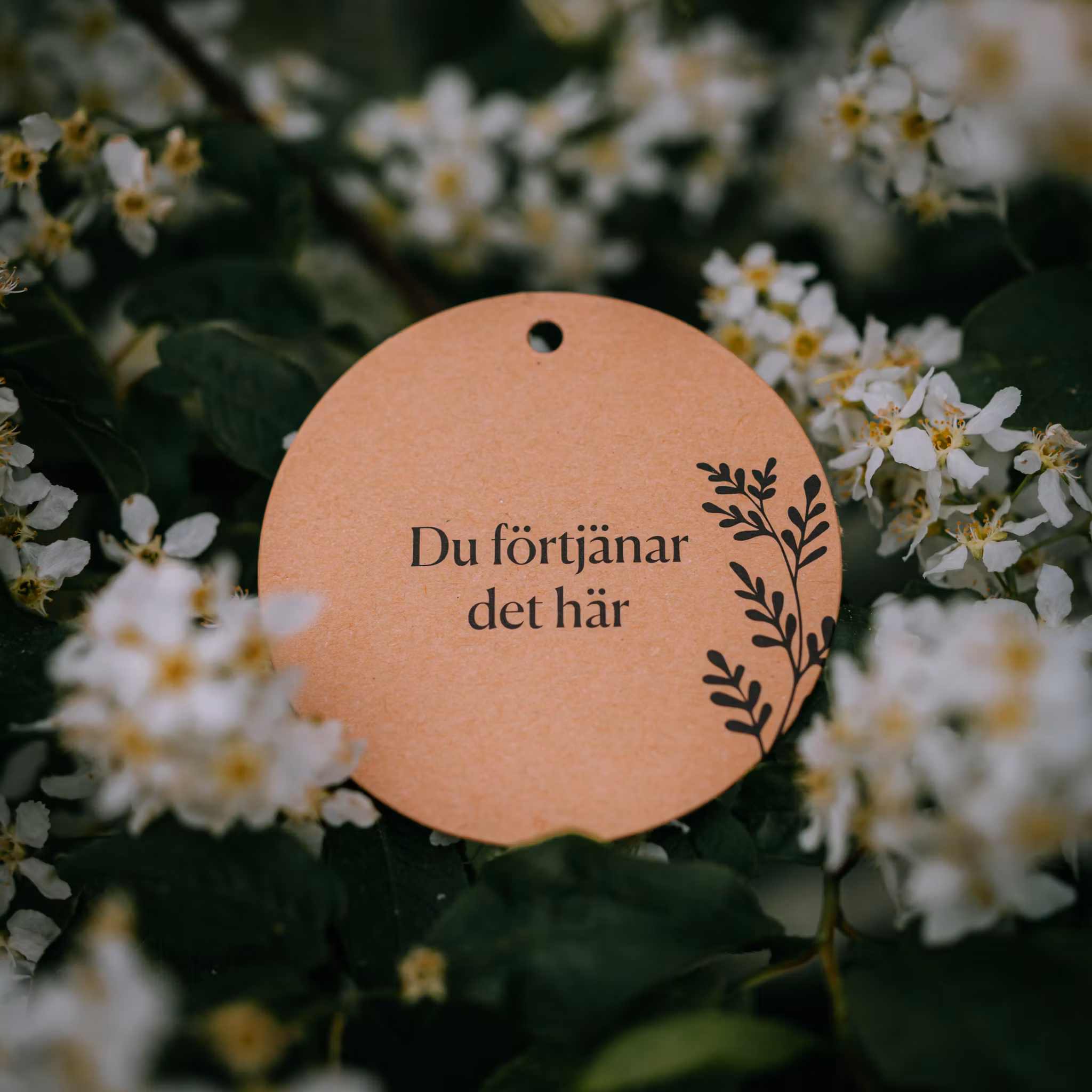 Hälsningskort Förtjänar