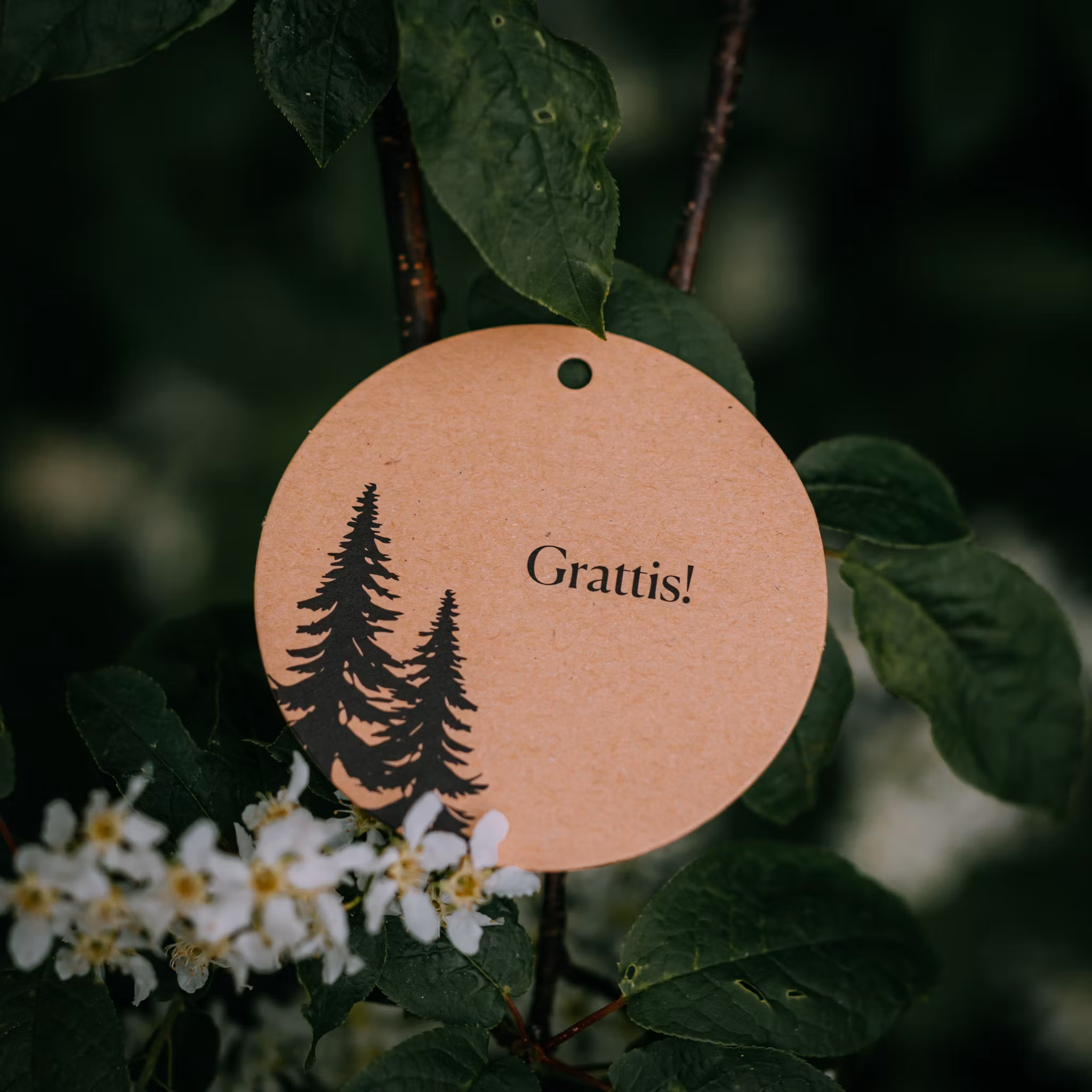 Hälsningskort Grattis