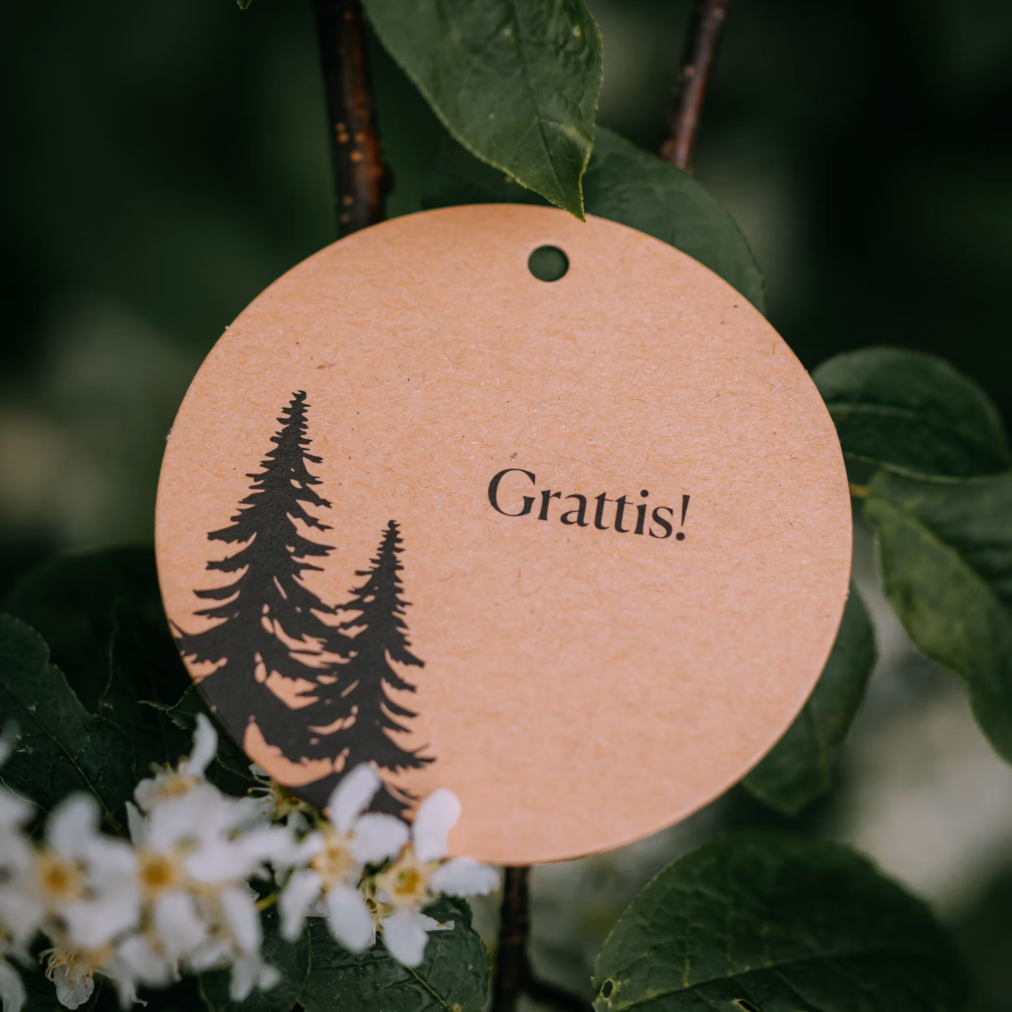 Hälsningskort Grattis
