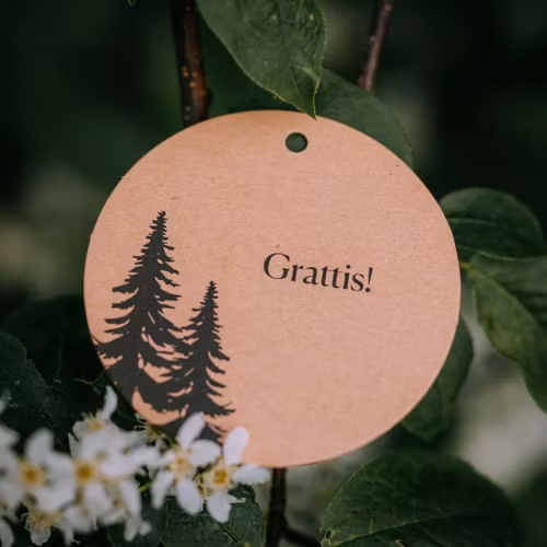 Hälsningskort Grattis