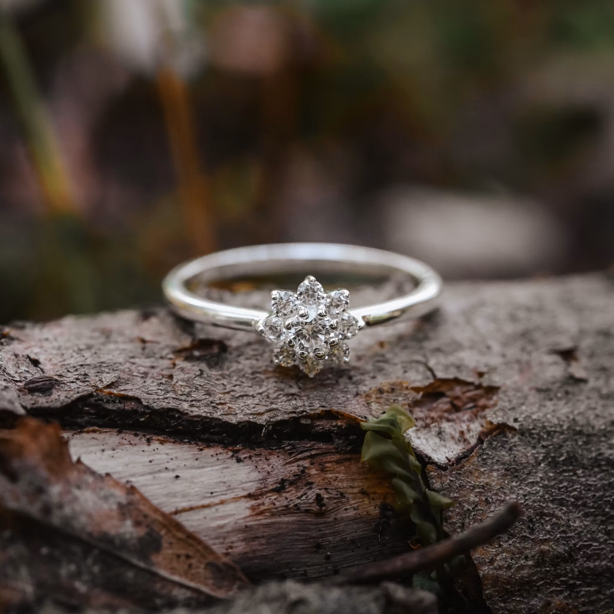 Evig ring