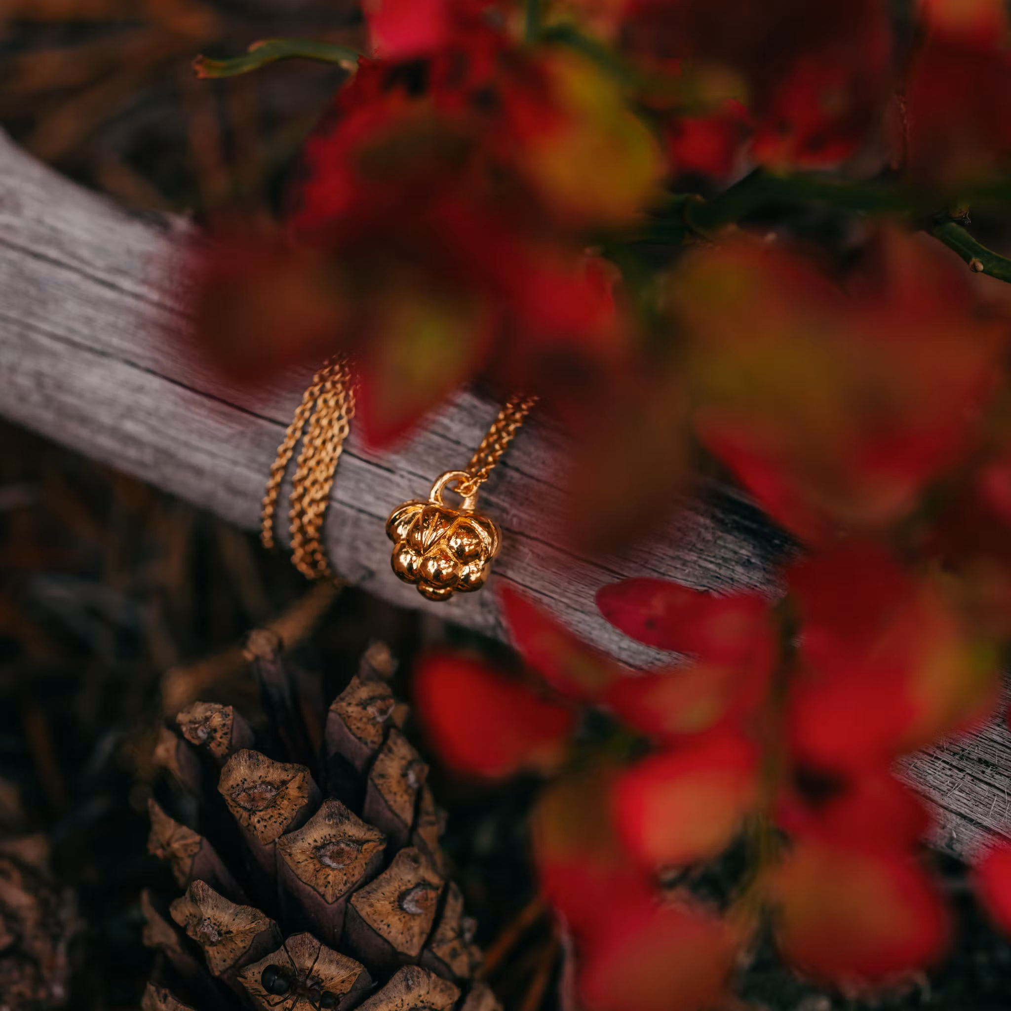 Hjortron halsband guld