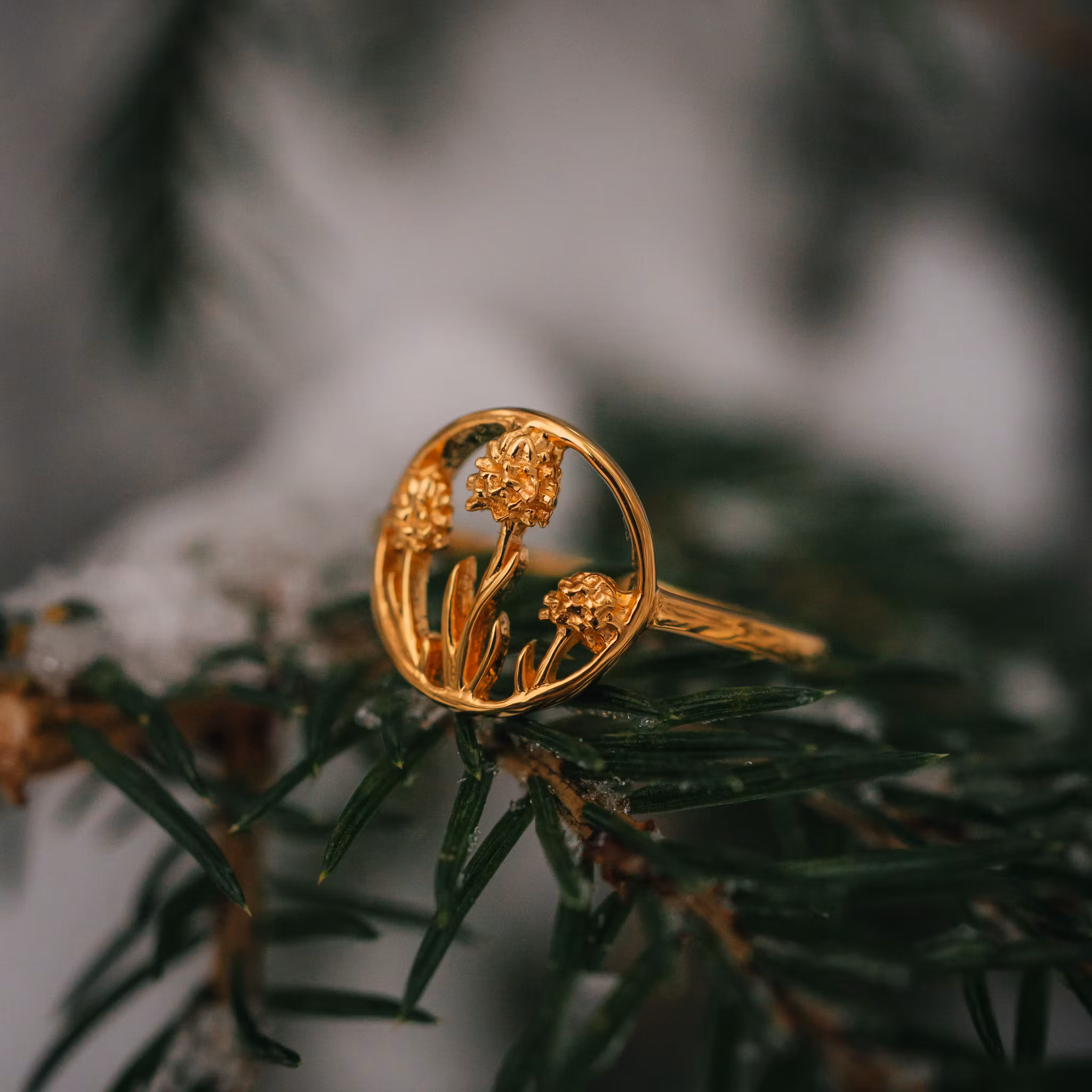 Brunkulla ring guld