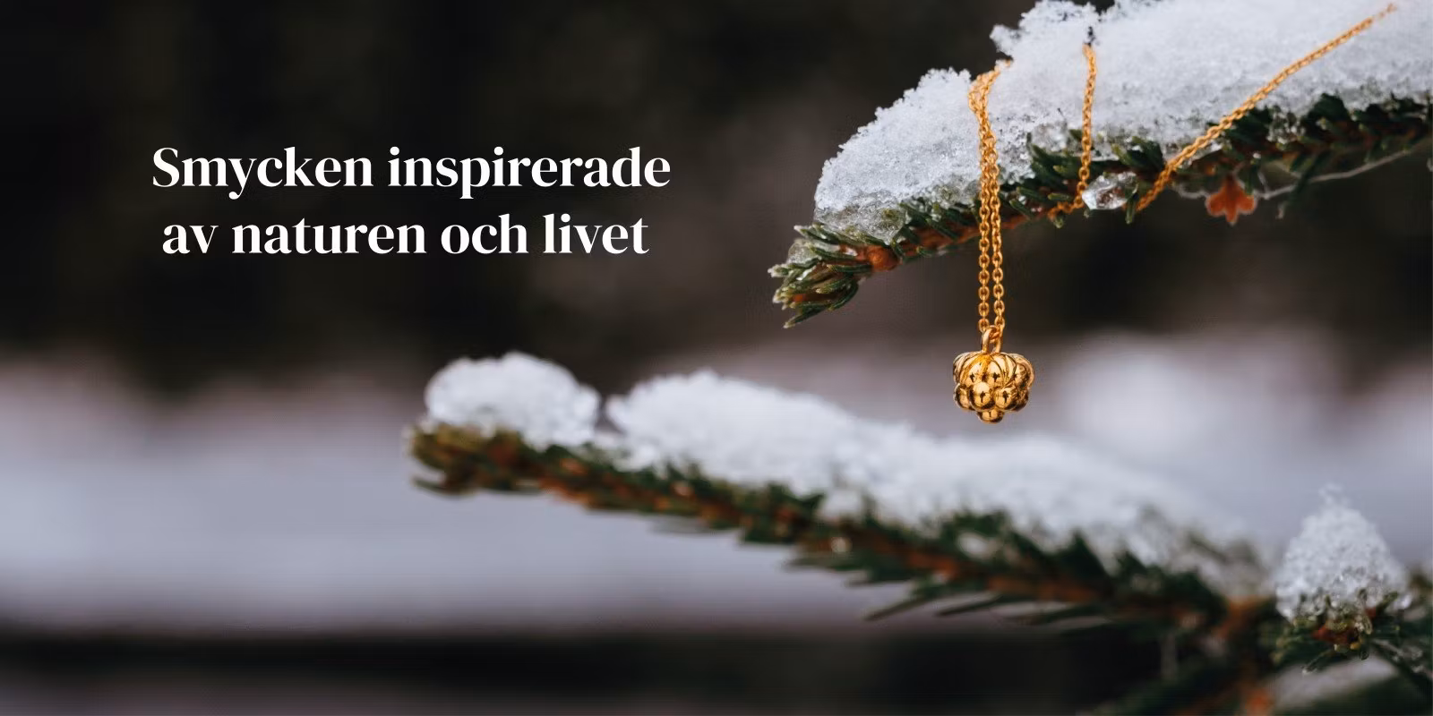 Evjéli