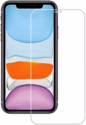 Vivanco Tempered Glass iPhone 11/XR