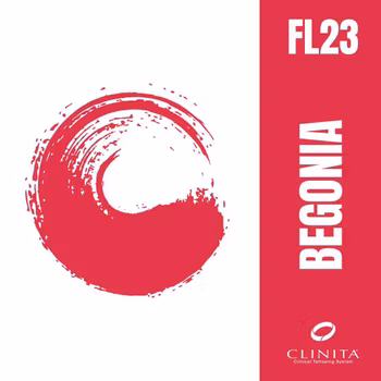Begonia Pro (23)