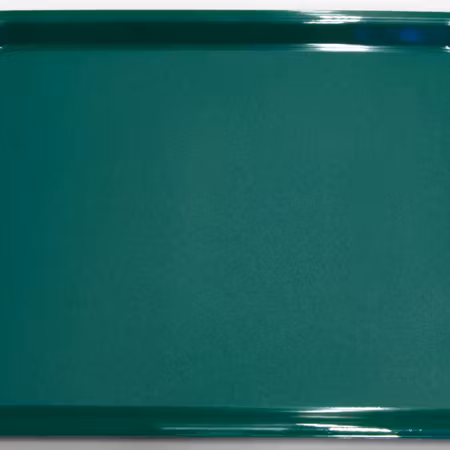 SERVERINGSBRICKA GRÖN 360X280 MM