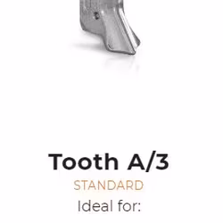 Tooth type A/3