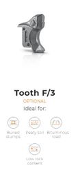 Tooth type F/3