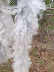 Vit fårskinnsboa av gotländskt lammskinn - långhårig