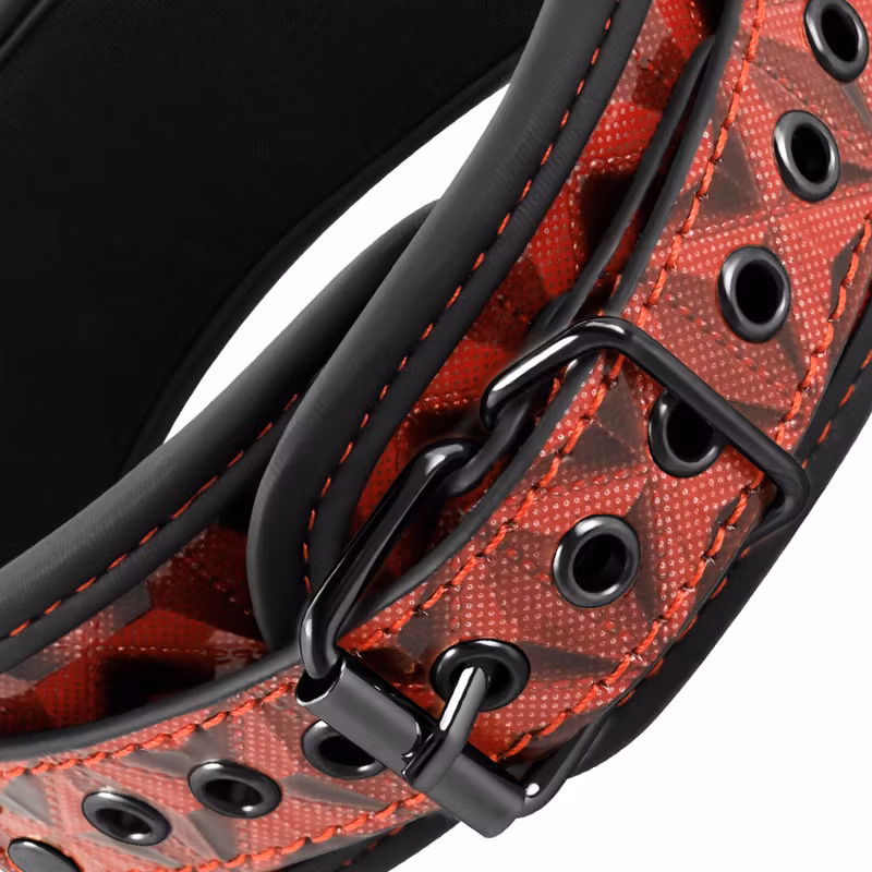 halsband med koppel bondage fetish