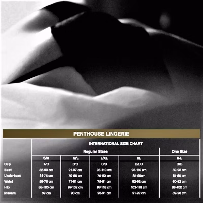 Penthouse Bedtime Surprise Klänning XL – Sensuell & Sexig Lingerie för Passionerade Nätter