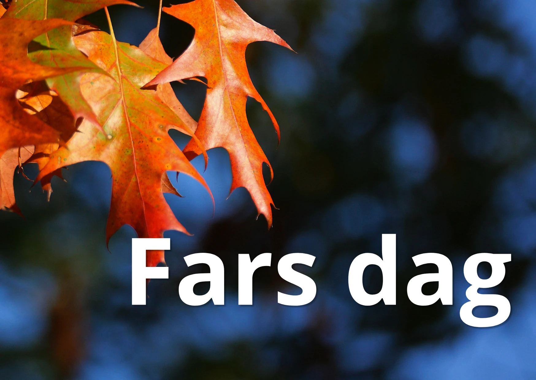 Fars dag present - Lovebox Sweden