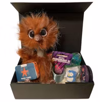 Gaveæske legetøj til børn: mini