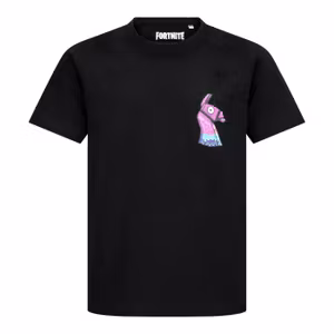 Fortnite T-shirt svart med lama