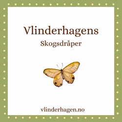 Vlinderhagens Skogsdråper med kraft fra nordiske trær og groblad flaske 50 ml