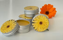 Vlinderhagens Ringblomstsalve 15ml/30ml/60ml