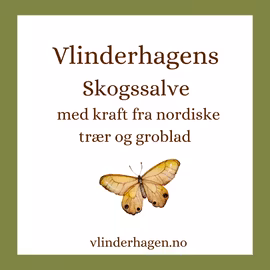 Vlinderhagens Skogssalve med kraft fra furu, gran, einebær og groblad 15ml/30ml/60ml krukke
