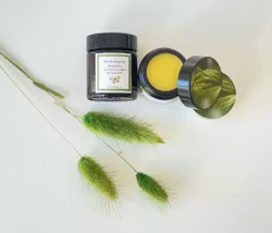 Vlinderhagens Skogssalve med kraft fra furu, gran, einebær og groblad 15ml/30ml/60ml krukke