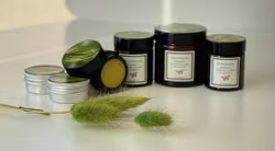 Vlinderhagens Skogssalve med kraft fra furu, gran, einebær og groblad 15ml/30ml/60ml krukke