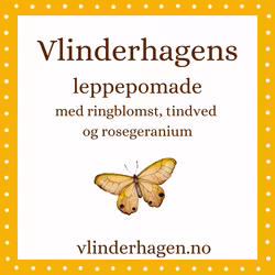 Vlinderhagens leppepomade med ringblomst, tindved og rosegeranium