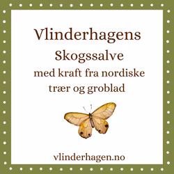Vlinderhagens Skogssalve med kraft fra furu, gran, einebær og groblad 15ml/30ml/60ml krukke