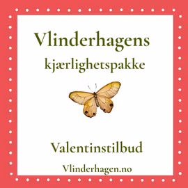 Vlindehagens kjærlighetspakke med sommerfugldråper, diktkort og sommerfugl i tre