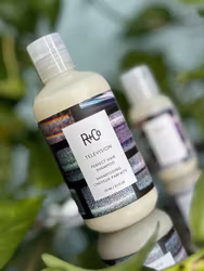 R+Co Television Perfect Hair Shampoo 251 ml