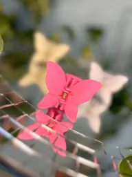 Stella Details Hårklämma Fjäril ALMA Cerise