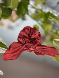 Stella details Scrunchie Rosett Ruby Red