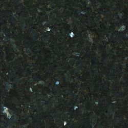 Labrador (mörk)
