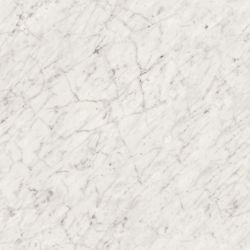 Carrara Bianco 6696