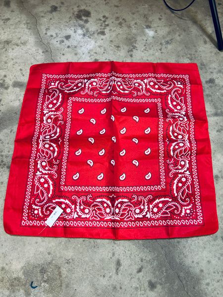 Snusnärduk/skarf clasic paisley Red - Liias Garderob